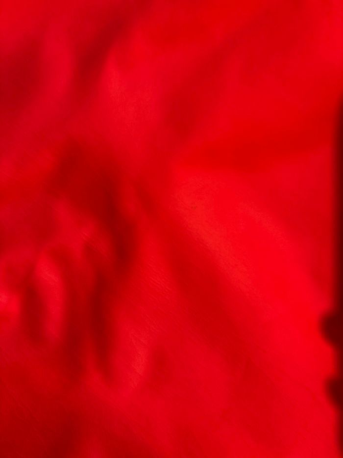 Parka garçon Jacadi - photo numéro 4