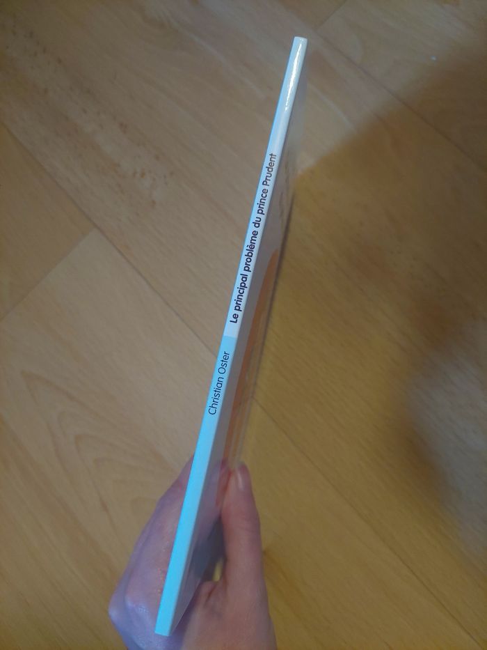 Livre "le principal problème du prince Prudence" L'école des Loisirs BE 🤴 - photo numéro 3