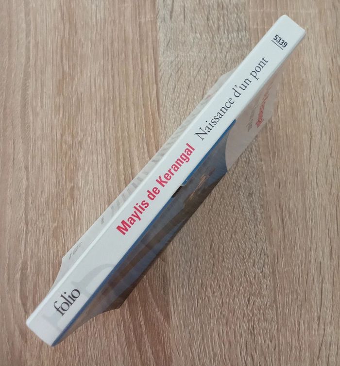 Maylis de Kerangal 🫧 Naissance d'un pont - photo numéro 3