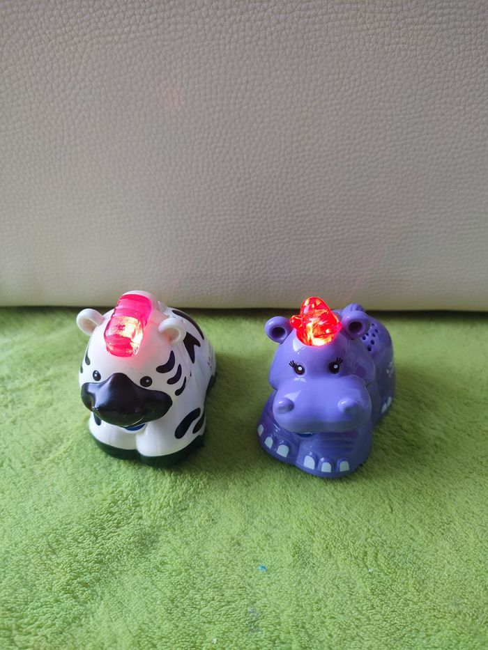 Hippo et zébre tut tut animaux