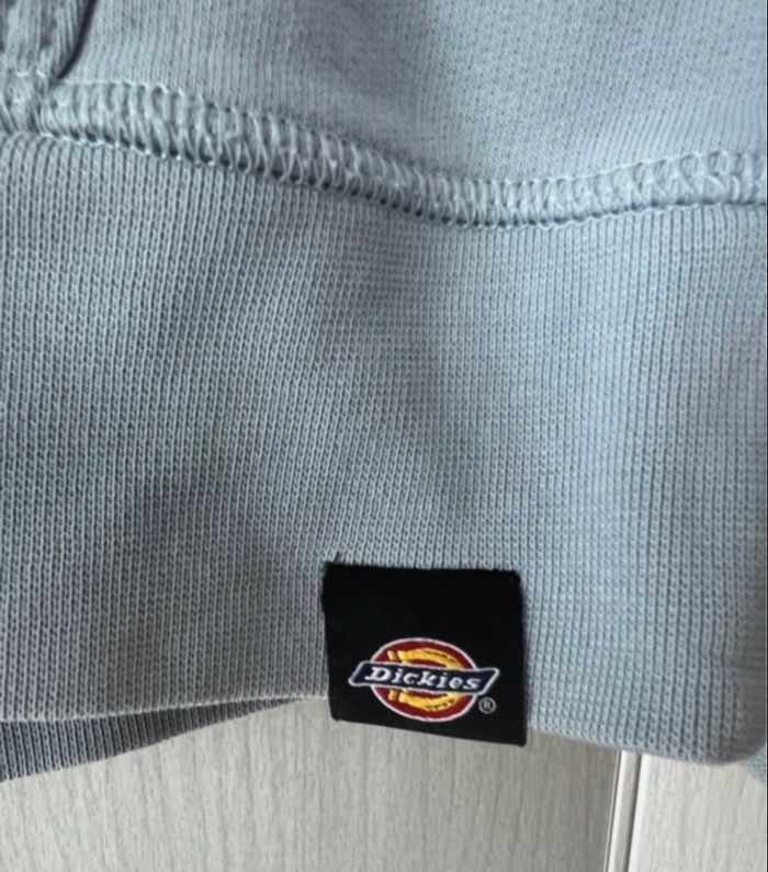 Sweat à capuche bleu clair, Dickies - photo numéro 3