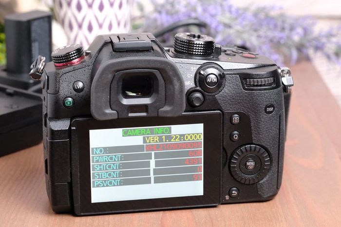 Panasonic Lumix DC-GH5 S 20.3 Mp Appareil Photo Numérique Haut Händler