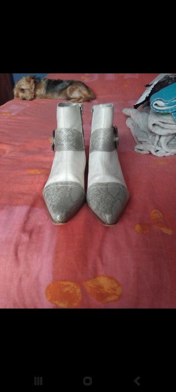 Bottine