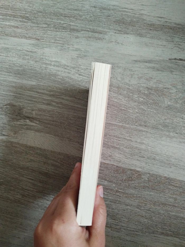 Livre presque jeune presque jolie de nouveau célibataire - photo numéro 3