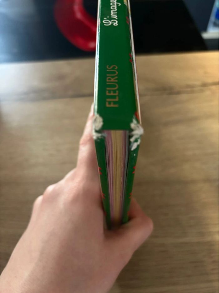 Livre L’Imagerie du Père Noël pour Enfants - photo numéro 4
