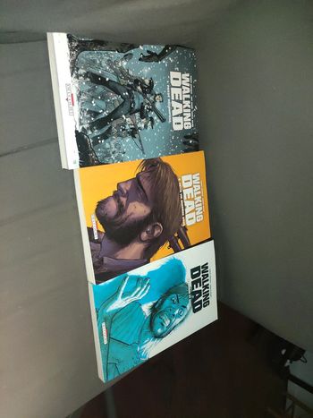 Lot 3 livres walking dead