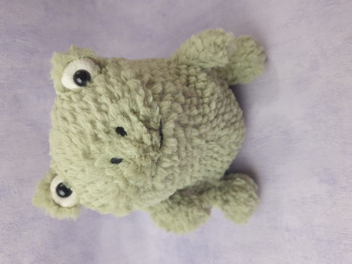 Peluche Jellycat neuve rare retired Flumpie frog grenouille FLUM3F NWT - photo numéro 10