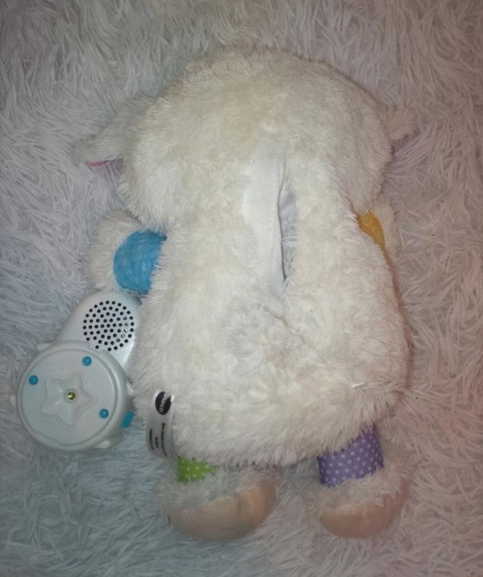 Doudou mon mouton comptines - photo numéro 5