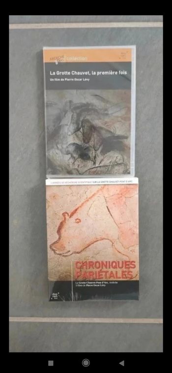 Coffret DVD Grotte Chauvet en Ardèche