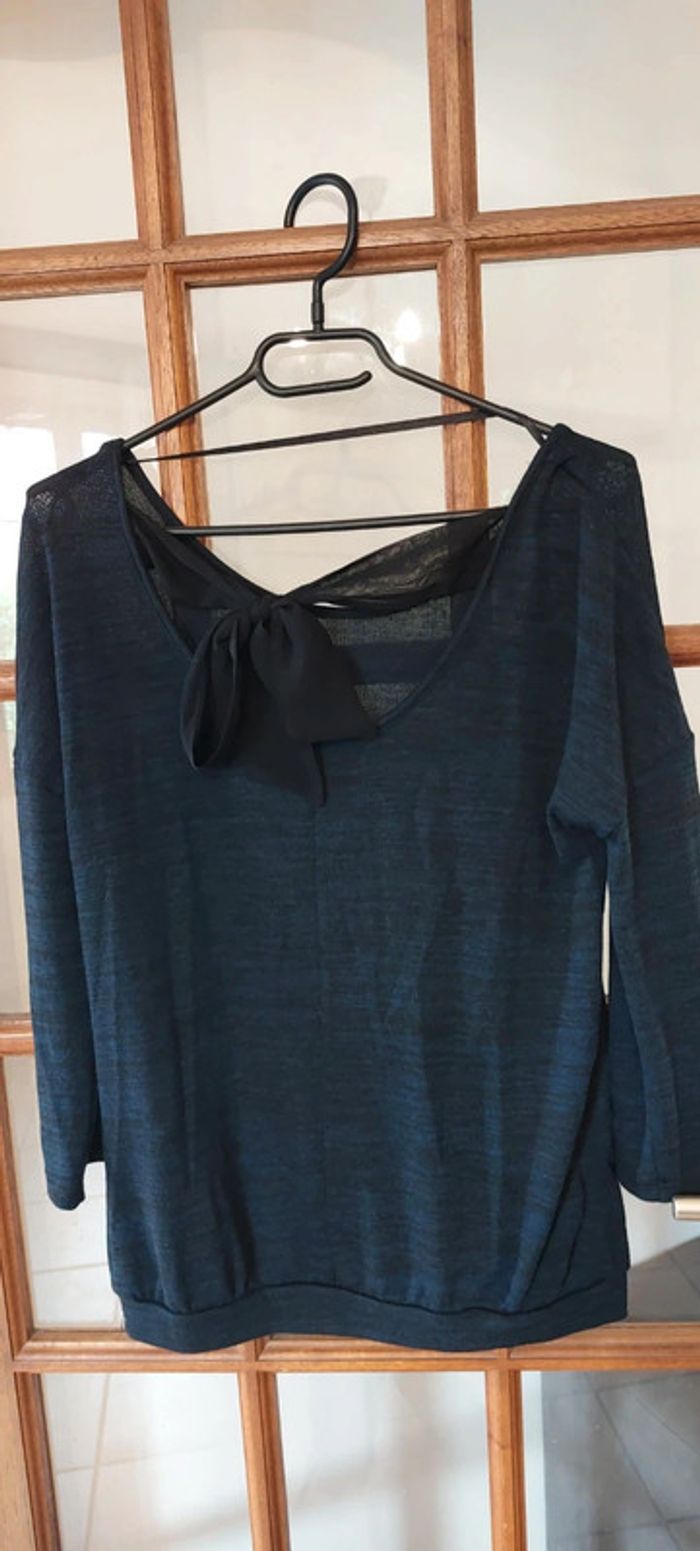 Pul fin - photo numéro 2