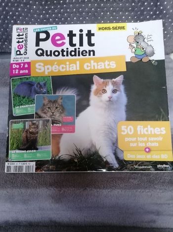 Très belle revu sur les chats
