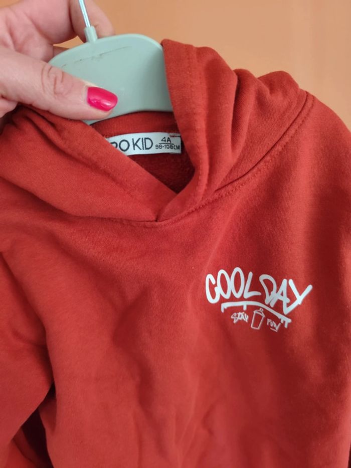 Pull à capuche 4 ans - photo numéro 3