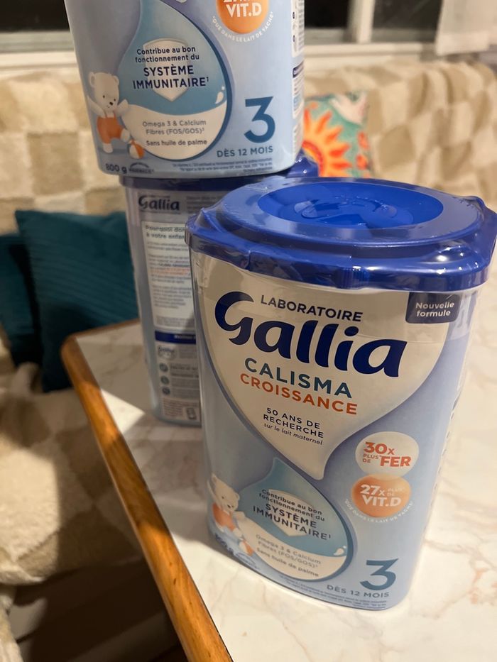 Gallia croissance 3 eme âge