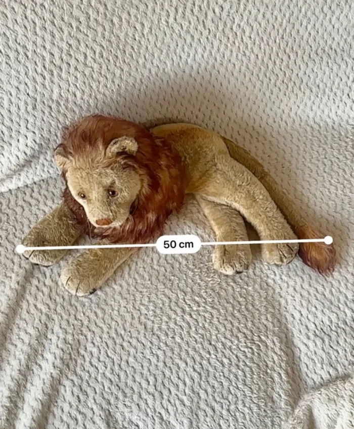 Lion Steiff - photo numéro 2