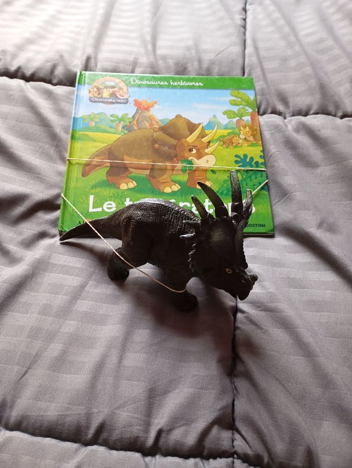 Livre Triceratops avec figurine