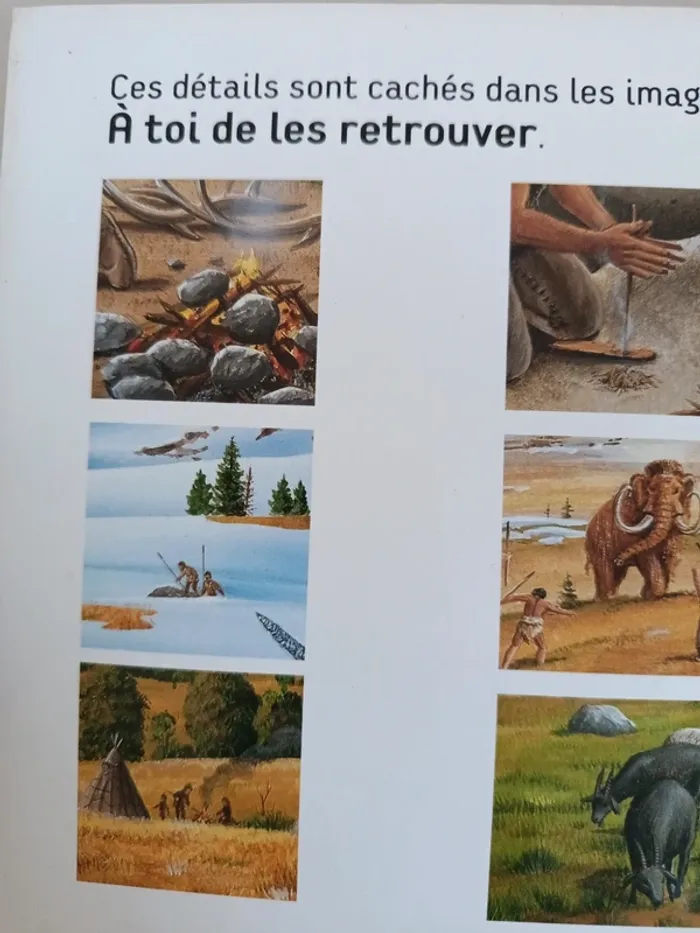 Livre sonore écoute les bruits de la préhistoire - photo numéro 14
