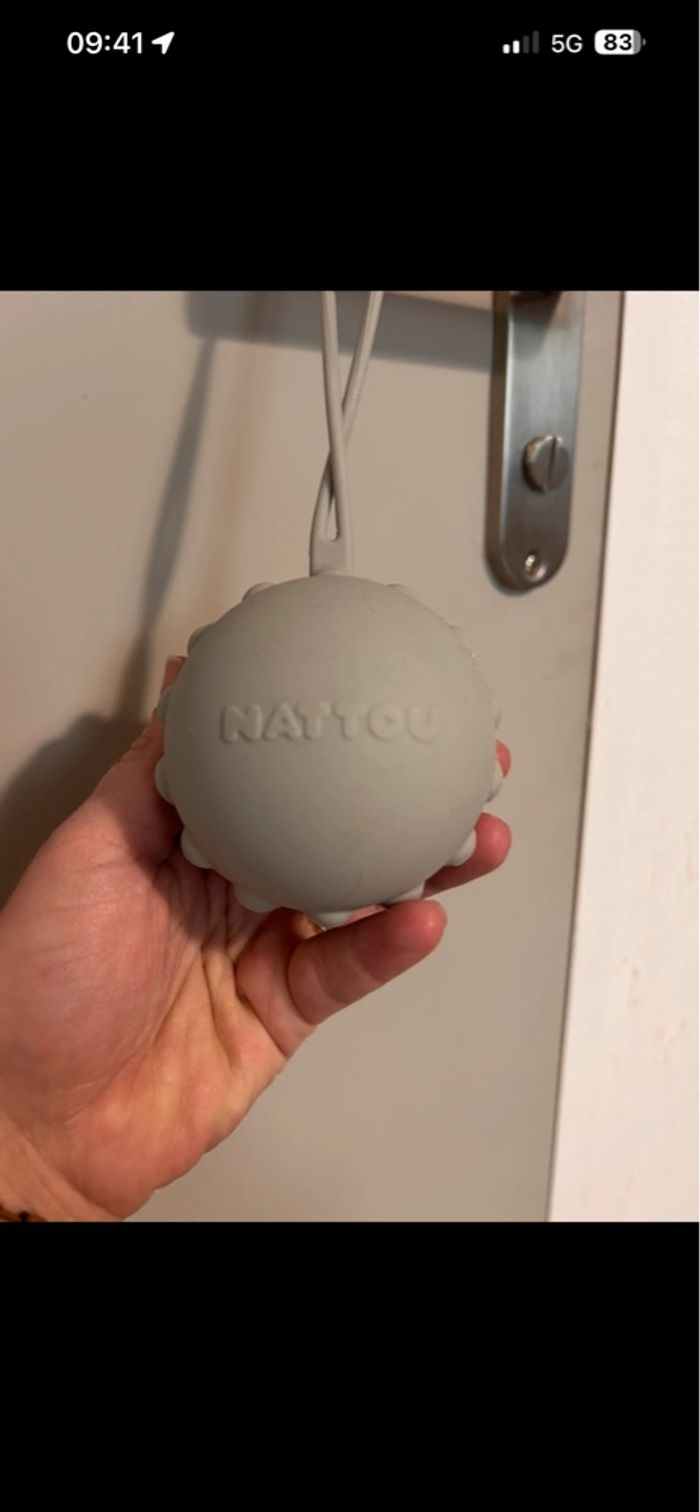 Range tétine - photo numéro 3