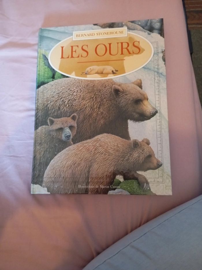 Les ours Bernard stonehouse
