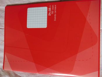 Cahier 24X32 192 Pages