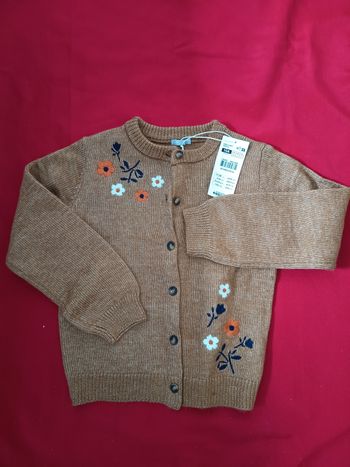 Gilet Lulu Castagnette 