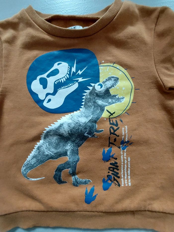 Pull dinosaure - photo numéro 2