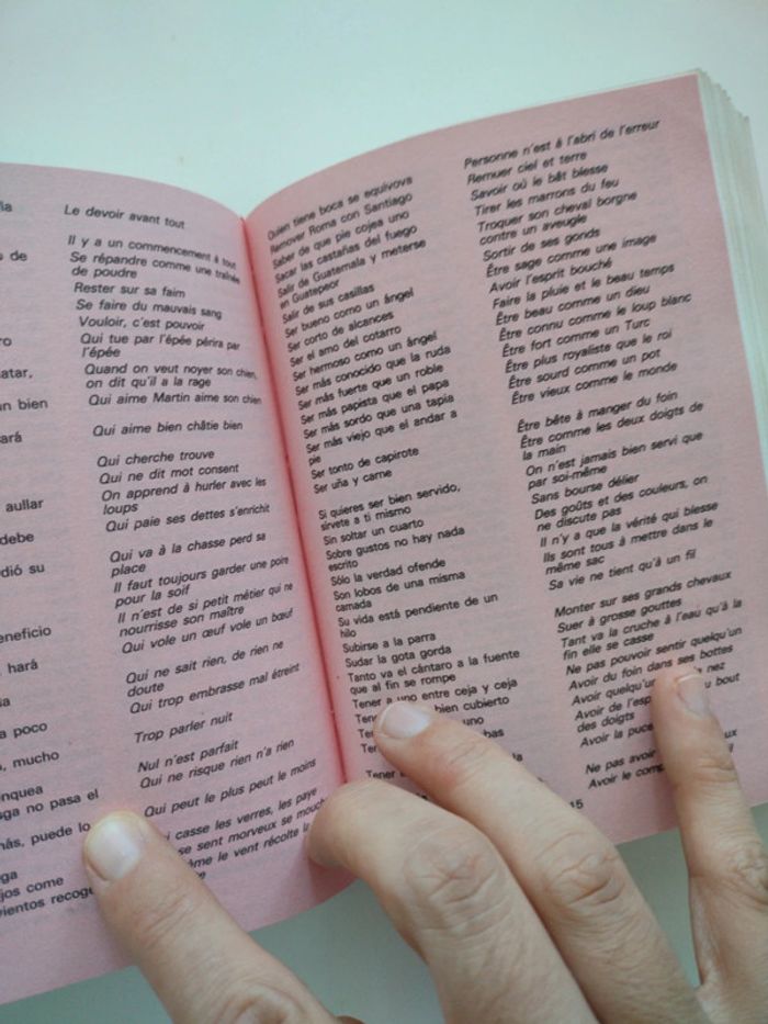 L2 Larousse Français Espagnol - photo numéro 5