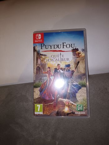 Jeu Nintendo puy du fou