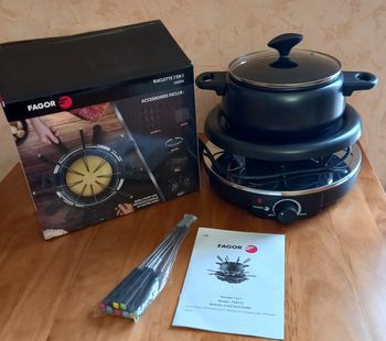 Raclette/Fondue/Plancha/Grill Fagor