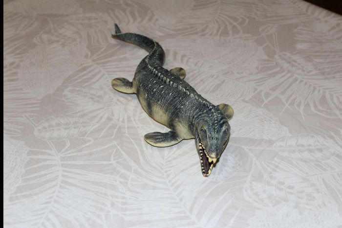 dinosaure mausasorus