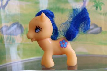 Poney abricot corail