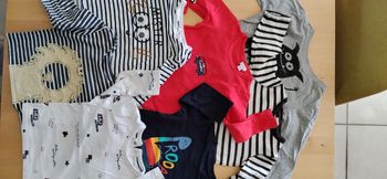 Lot de 7 tee shirts 