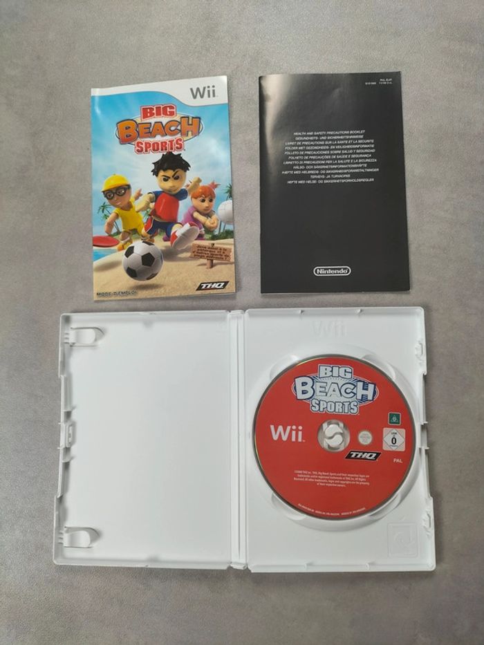 Big Beach Sports – Wii - photo numéro 4