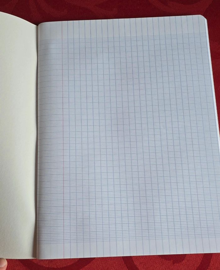 Cahier grand carreaux - photo numéro 3