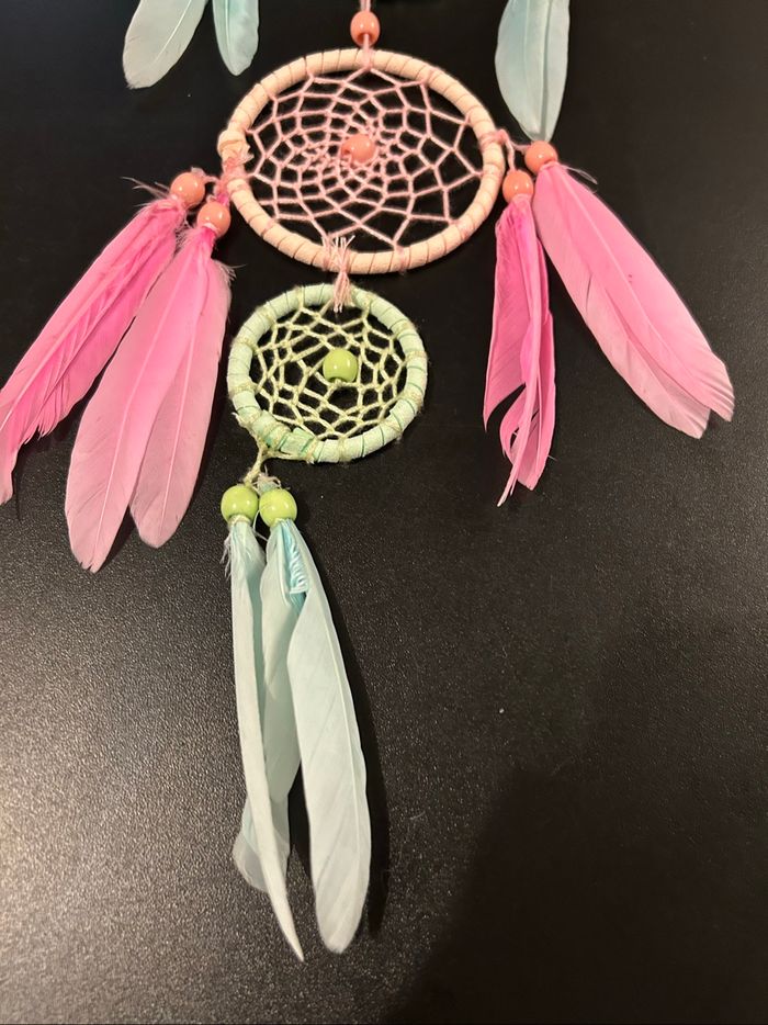 Piège à rêve - photo numéro 2