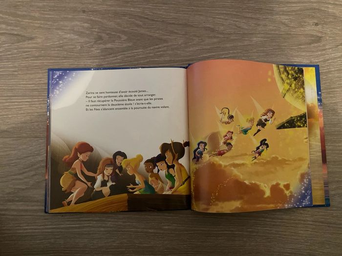 Livre Clochette fée pirate - photo numéro 3