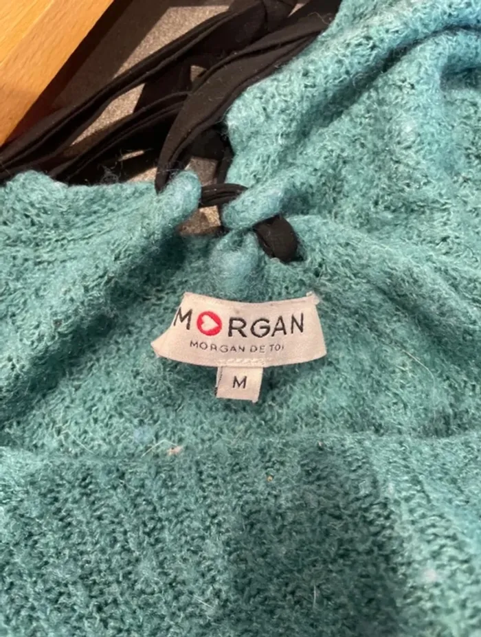 Pull Morgan - photo numéro 3