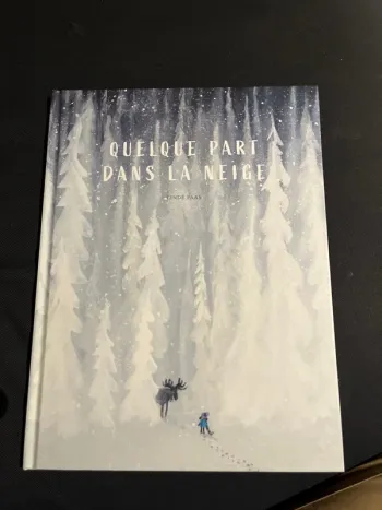 Bande dessinée pour enfants sur Noël quelque part dans la neige linde faas