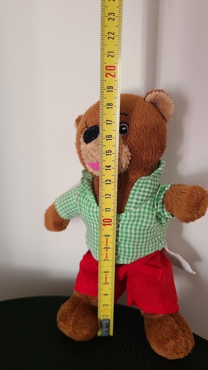 Petit ours brun - photo numéro 4