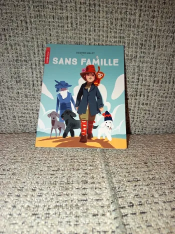 Livre "Sans famille"