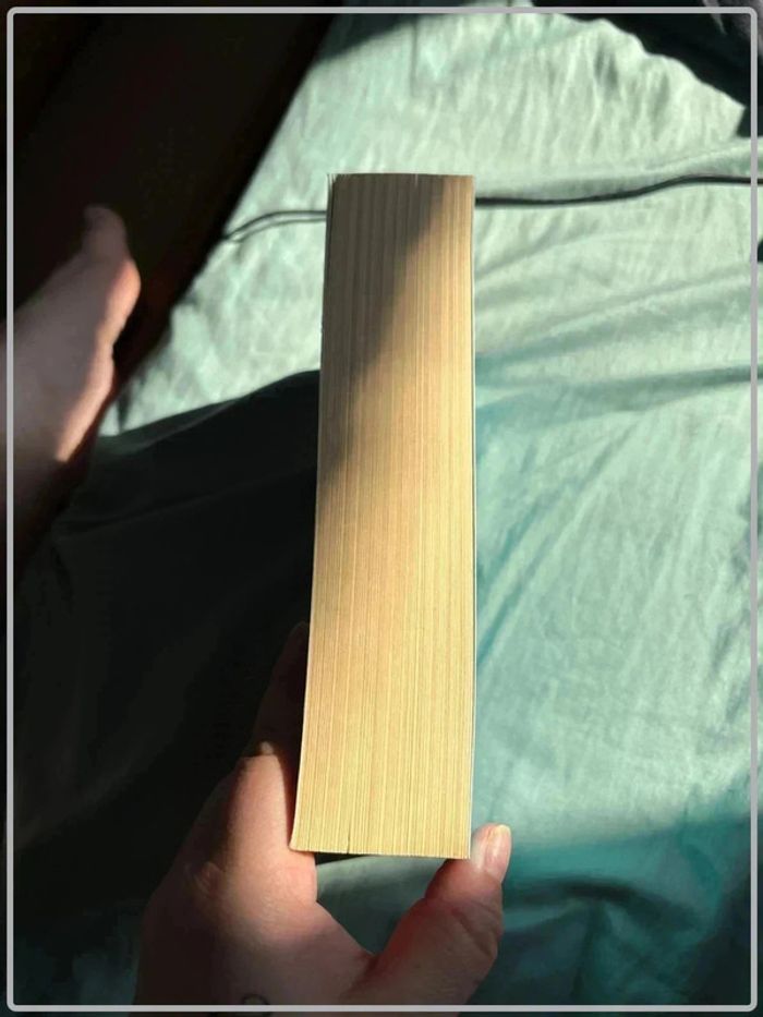 Et puis soudain succomber tome 1 de Laura s. Wild - photo numéro 2