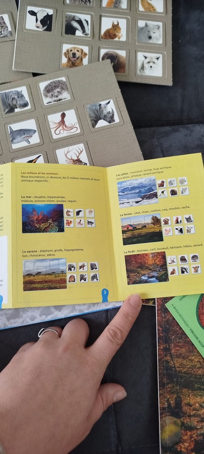 Jeux éducatifs - photo numéro 6