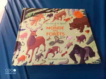 Livre enfant