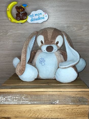 NT93 doudou lapin 🐰 nattou