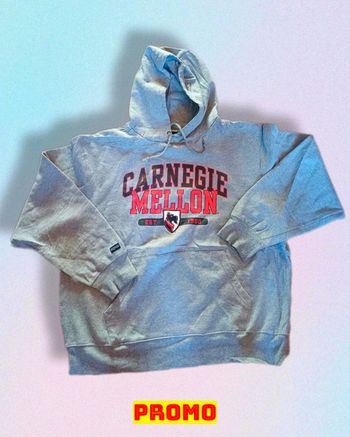 Magnifique sweat à capuche Universitaire Jansport taille M