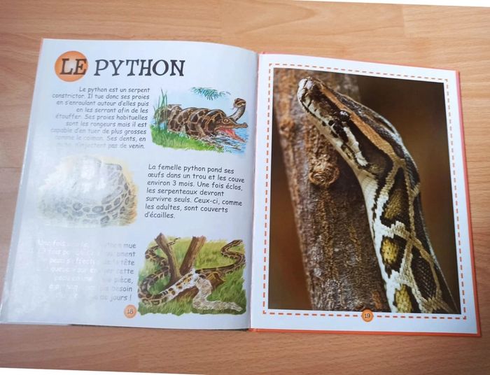 Lot 5 livres sur les animaux 🛑 - photo numéro 4