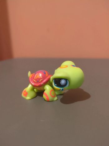 Littlest Petshop Lps Tortue