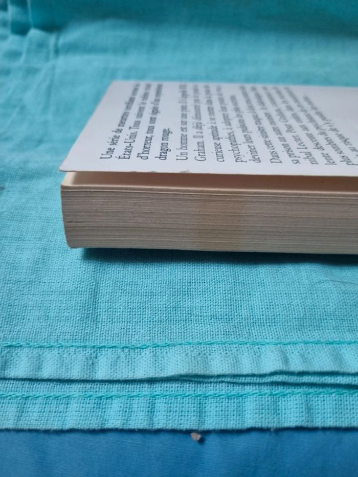 Dragon rouge - photo numéro 3