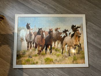 puzzle vie sauvage chevaux puzzle remis en boite