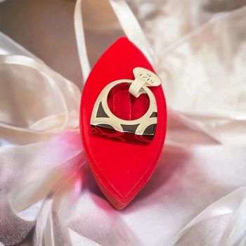 Splendide bague noir et argentée