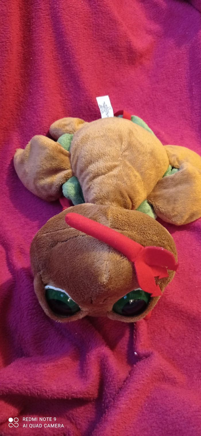 Tortue démon - photo numéro 5